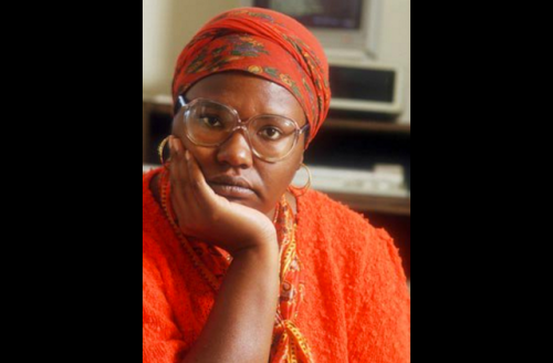 Gloria Naylor in orange outfit and head wrap with brown blurry background