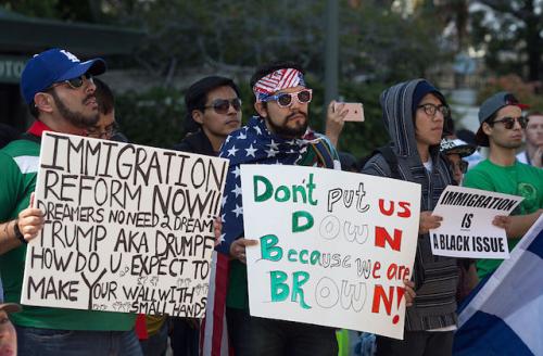A line of protestors hold up signs calling for immigration reform