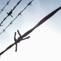 Black barbed wire with blue sky in background