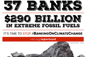 Image courtesy of Rainforest Action Network